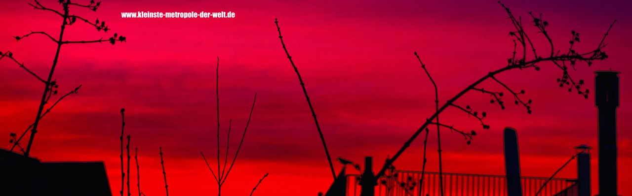 2017-02-25 Sonnenaufgang in Ginnheim