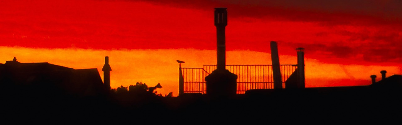 2017-08-08 Sonnenaufgang in Ginnheim