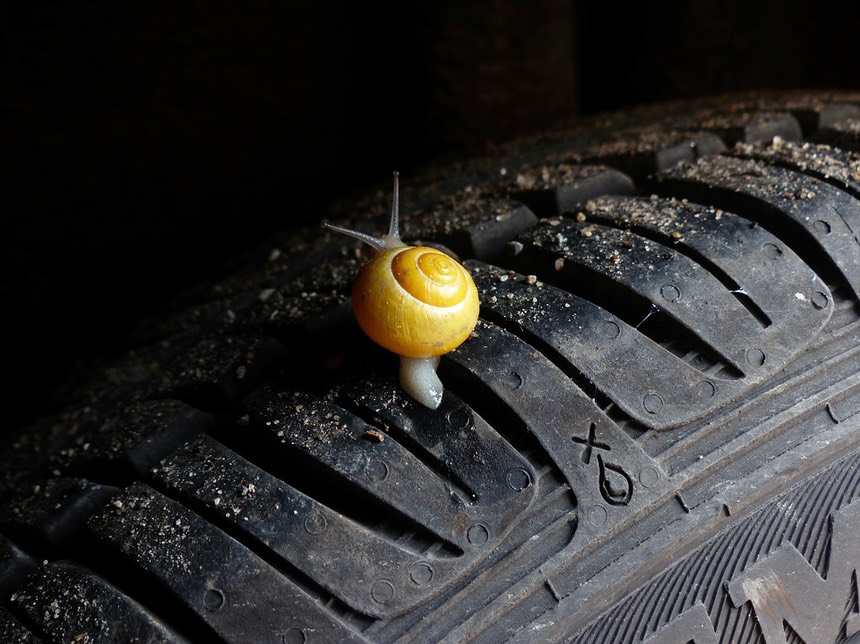 2019-06-13 Pixabay snail-505511 1920