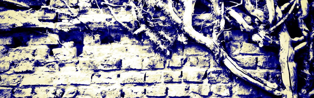 2019-08-02 Hausmauer Ginnheim