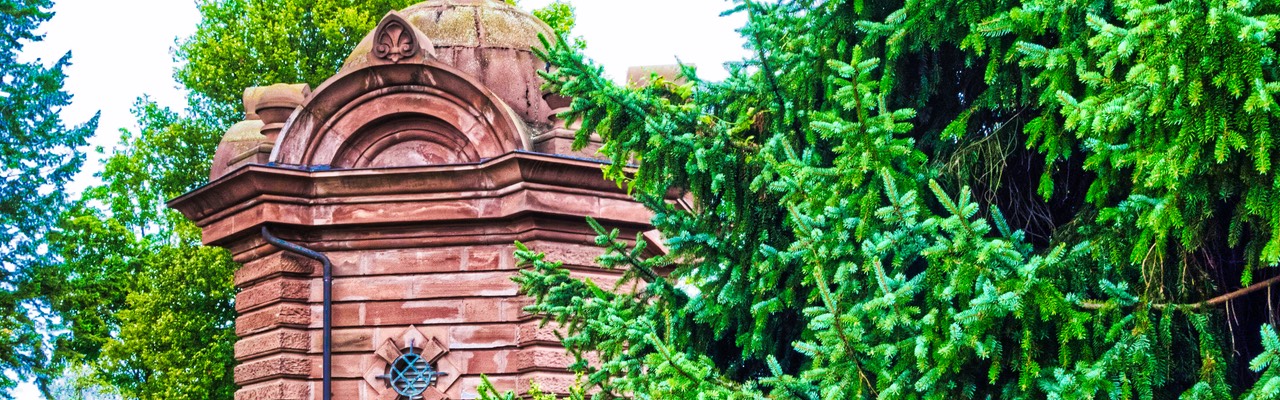 2019-08-18 Wasserpark Bornheim