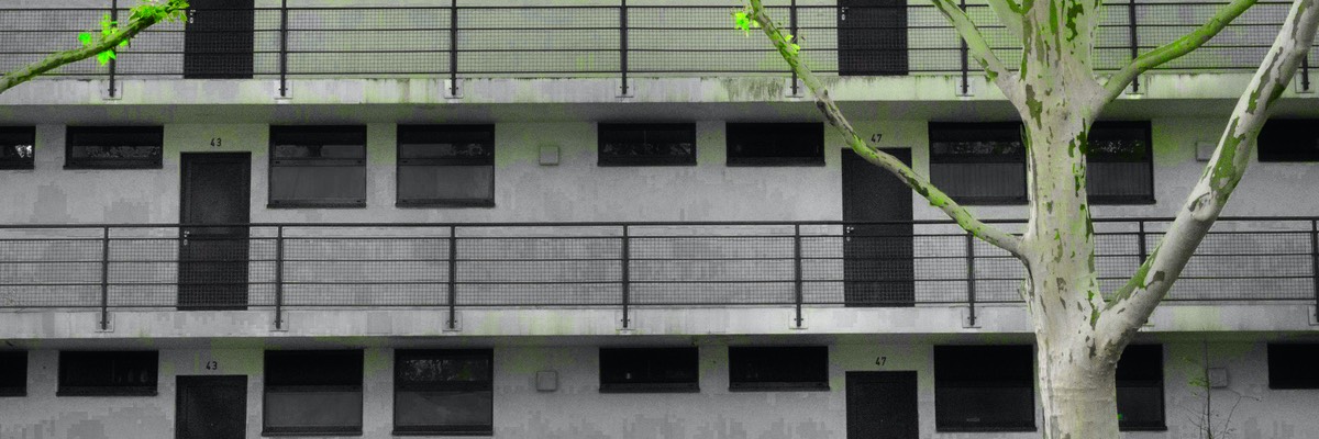 2019-08-20 Ledigenheim Platenstrasse